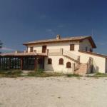 Immagine Rappresentativa